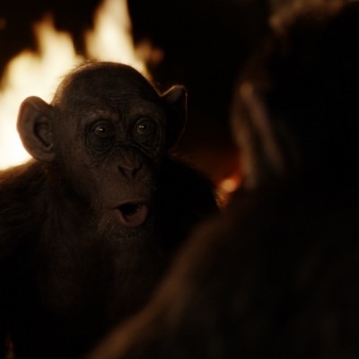 Steve Zahn as Bad Ape